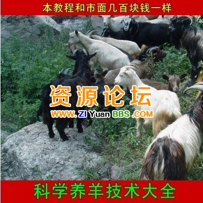 TB1cOt3FVXXXXaiXXXXXXXXXXXX_!!0-item_pic.jpg_400x400.jpg_.webp.jpg