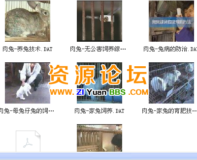 T2JJPJXpNXXXXXXXXX_!!392243044.png