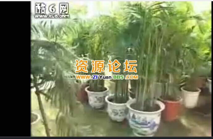 QQ图片20141201123235.jpg