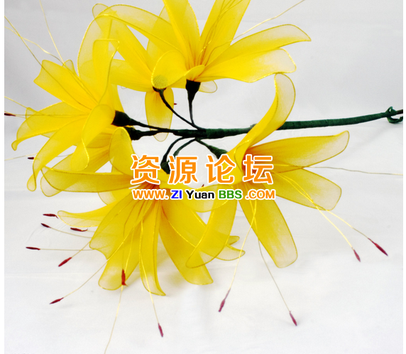 QQ图片20141201133849.png