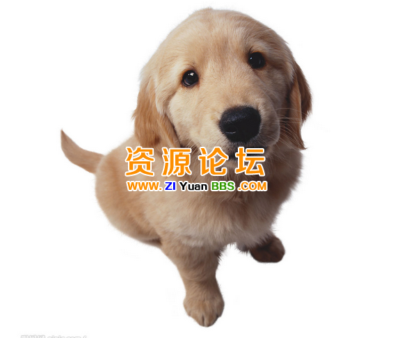 QQ图片20141201193427.png