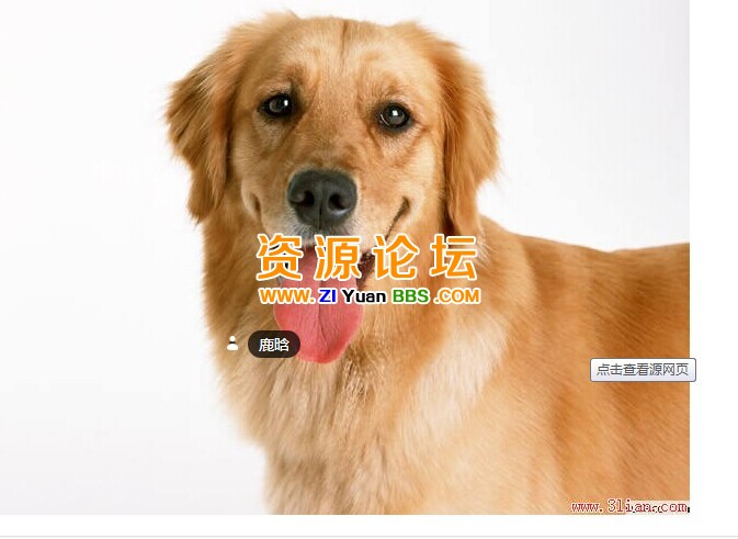QQ图片20141201193442.jpg