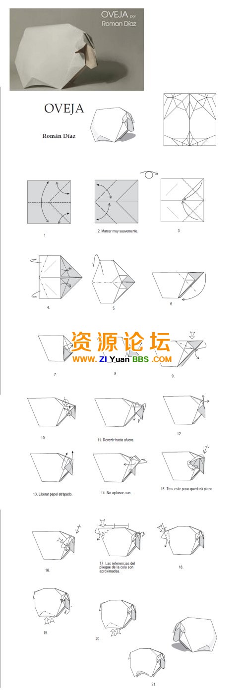 小绵羊.jpg