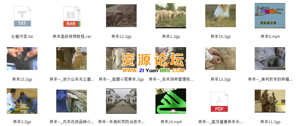 QQ图片20141206153533.png