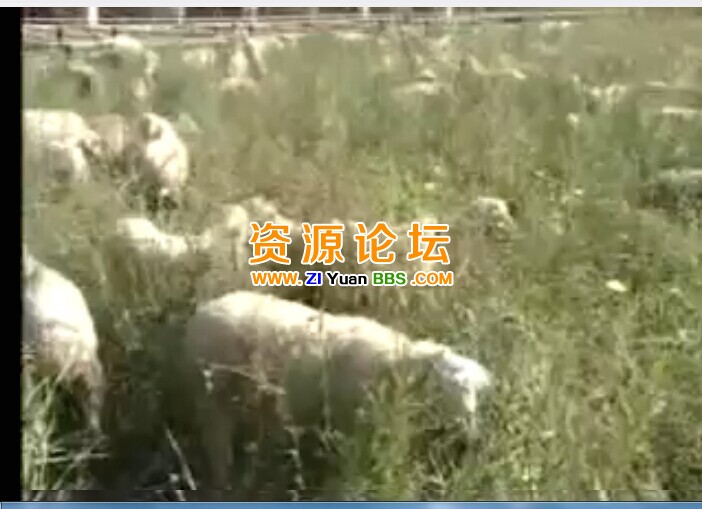 QQ图片20141206154100.jpg