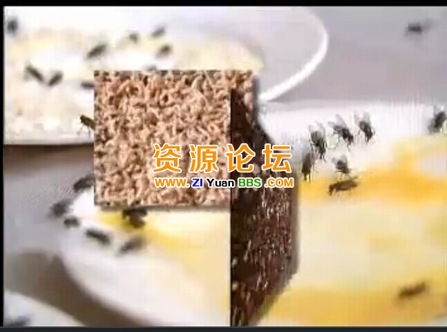 QQ图片20141207131414.jpg