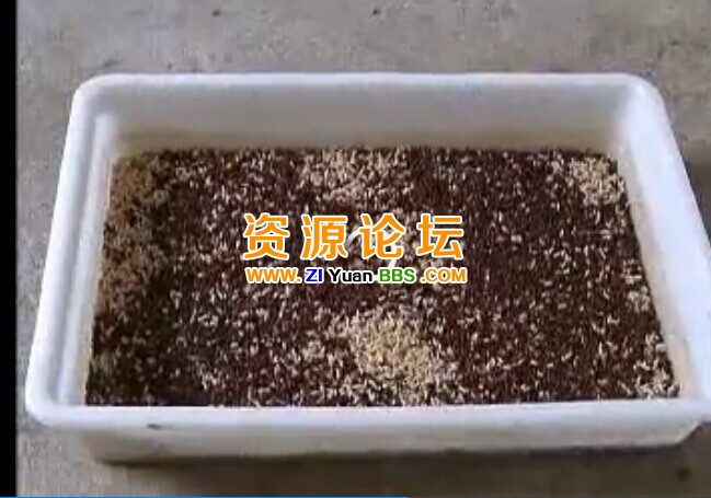 QQ图片20141207131427.jpg