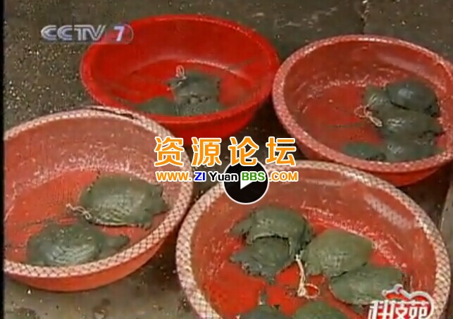 QQ图片20141207134751.jpg