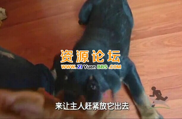 QQ图片20141207135503.jpg