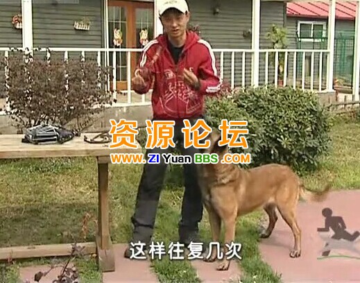QQ图片20141207135436.jpg