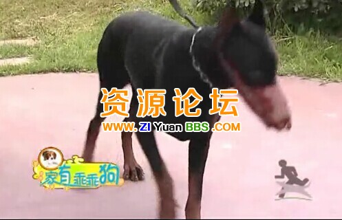 QQ图片20141207135406.jpg