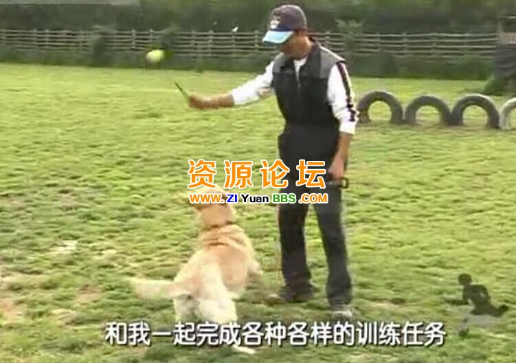 QQ图片20141207135339.jpg