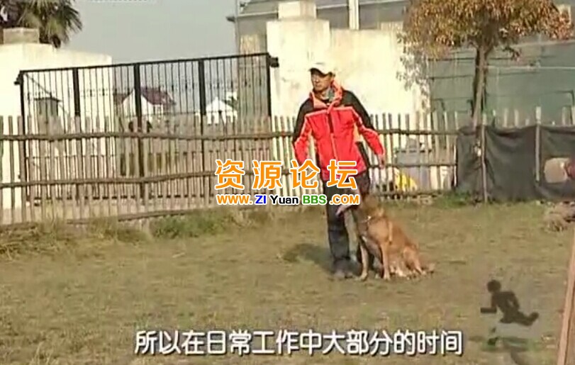 QQ图片20141207135310.jpg