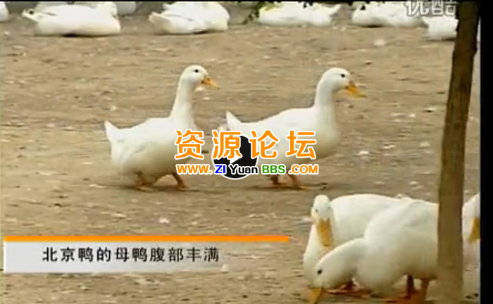 QQ图片20141207140703.png