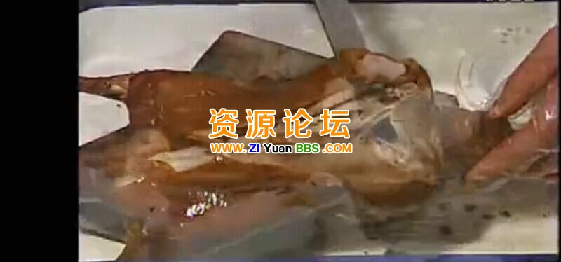 QQ图片20141207140538.jpg