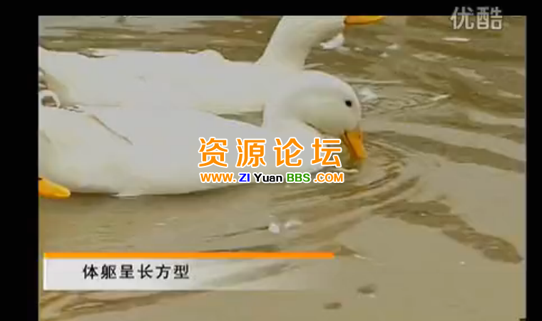 QQ图片20141207140555.png