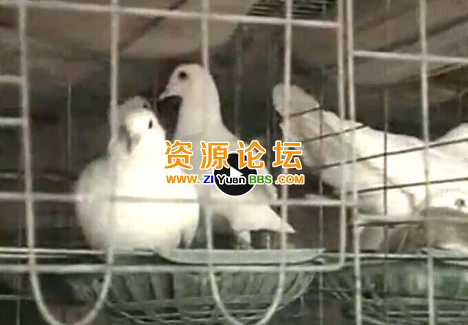 QQ图片20141207141124.jpg