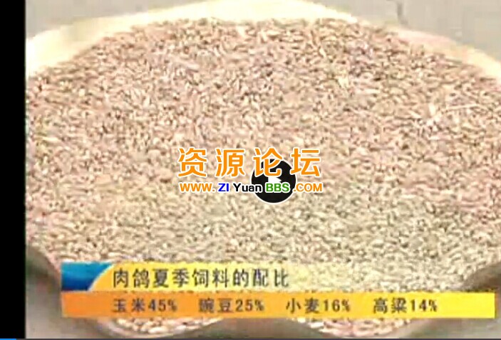QQ图片20141207141206.jpg