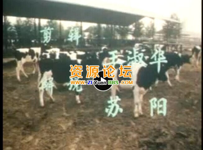QQ图片20141208182133.jpg