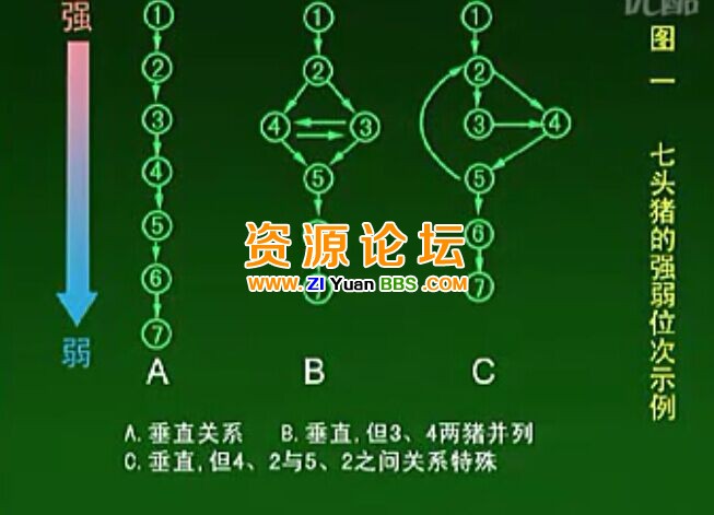QQ图片20141218122743.jpg