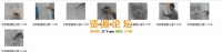 北京的静物创作示范123合集视频教程+列宾美术学院素描男...